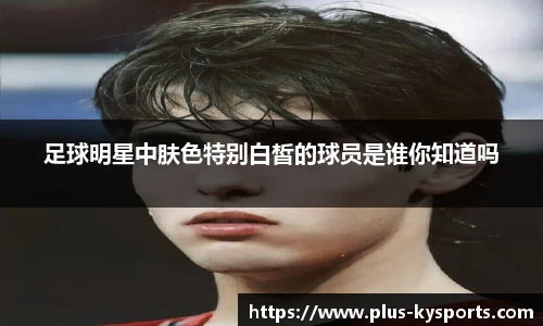 开云kaiyun网页版